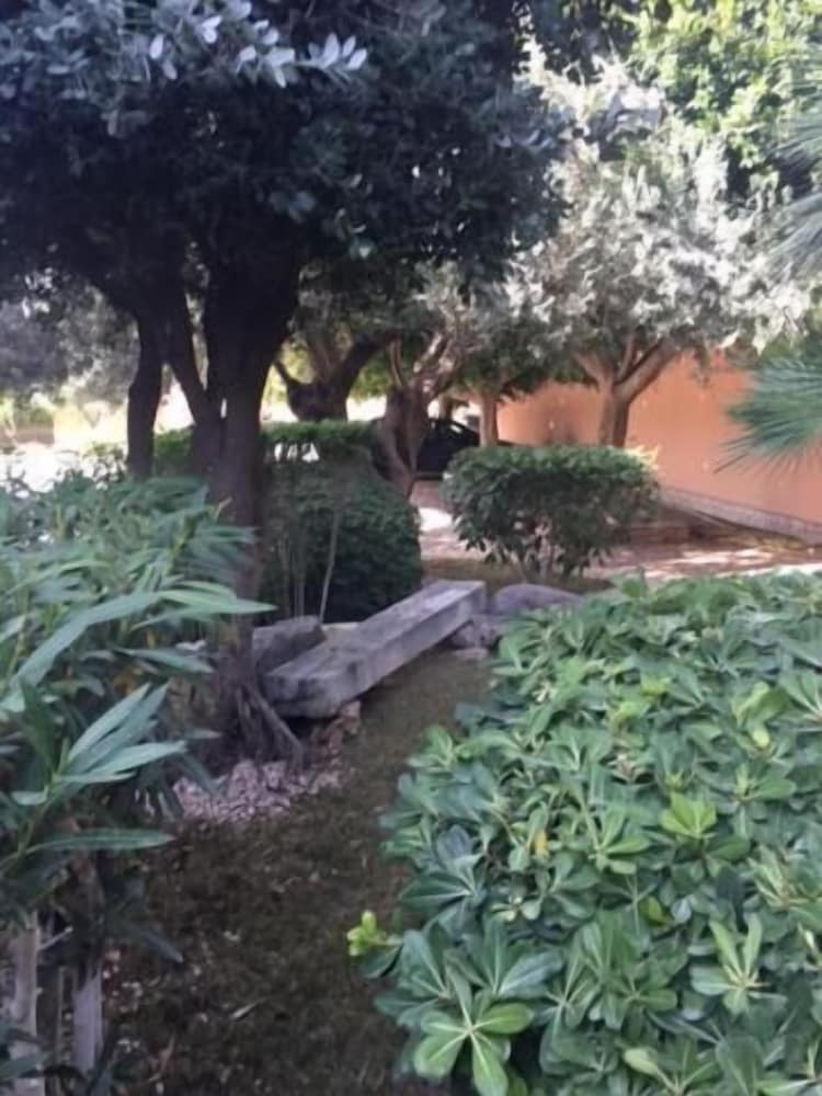 Фото Il Giardino Dei Melograni