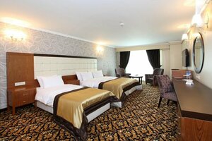 Arya Hotel (Sakarya, Adapazarı, Çeşme Meydanı Cad., 16), hotel