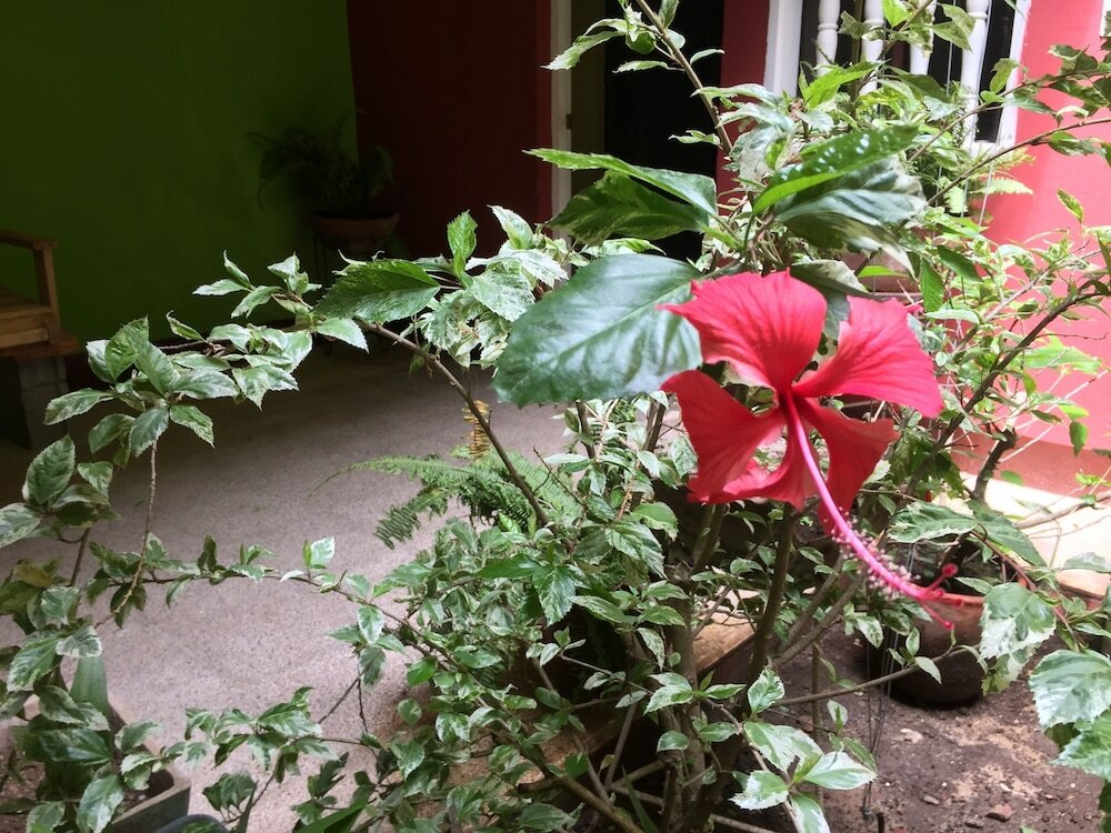 Фото El Caite - Hostel