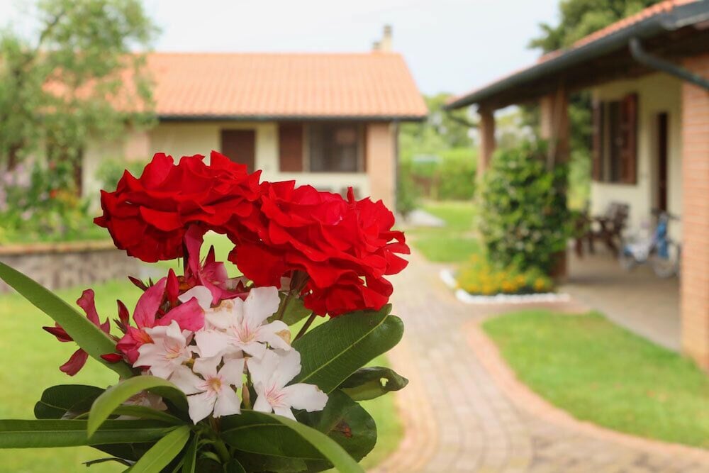 Фото Agriturismo gli Etruschi