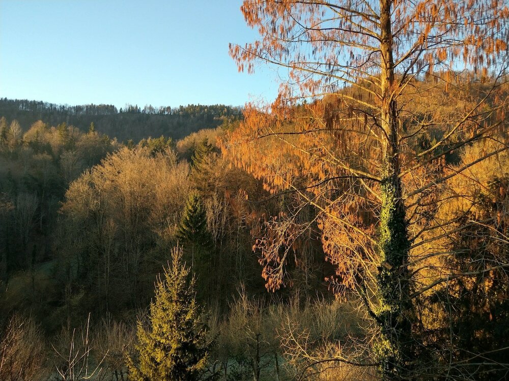 Фото Hotel Trojane