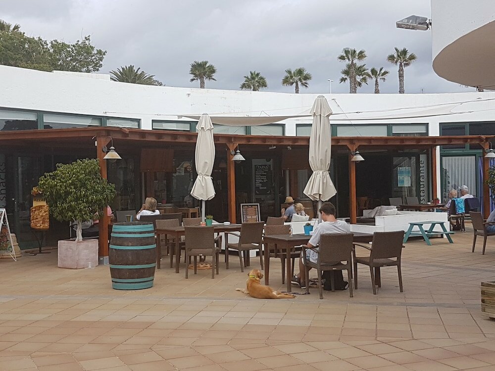 Фото Palmeras Garden