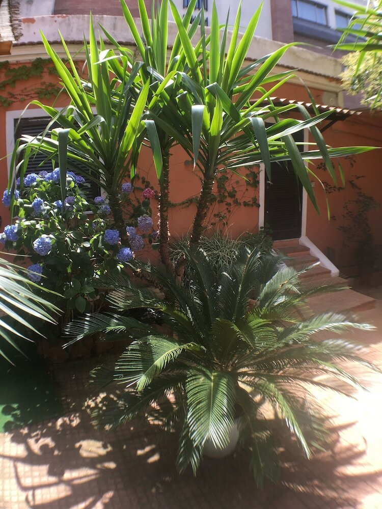 Фото Vatican Garden House