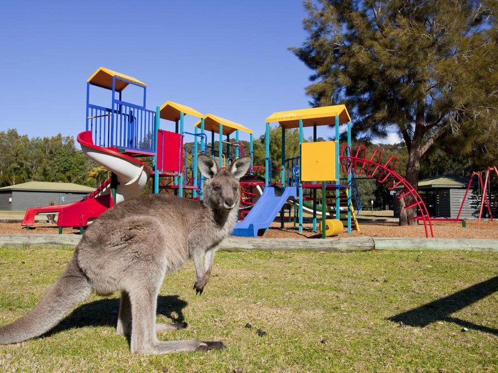 Фото Nrma Murramarang Beachfront Holiday Resort