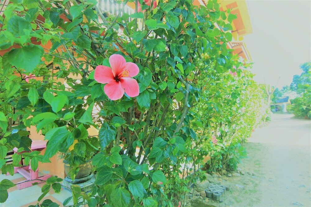 Hotel Hibiscus Samui, Samui, photo