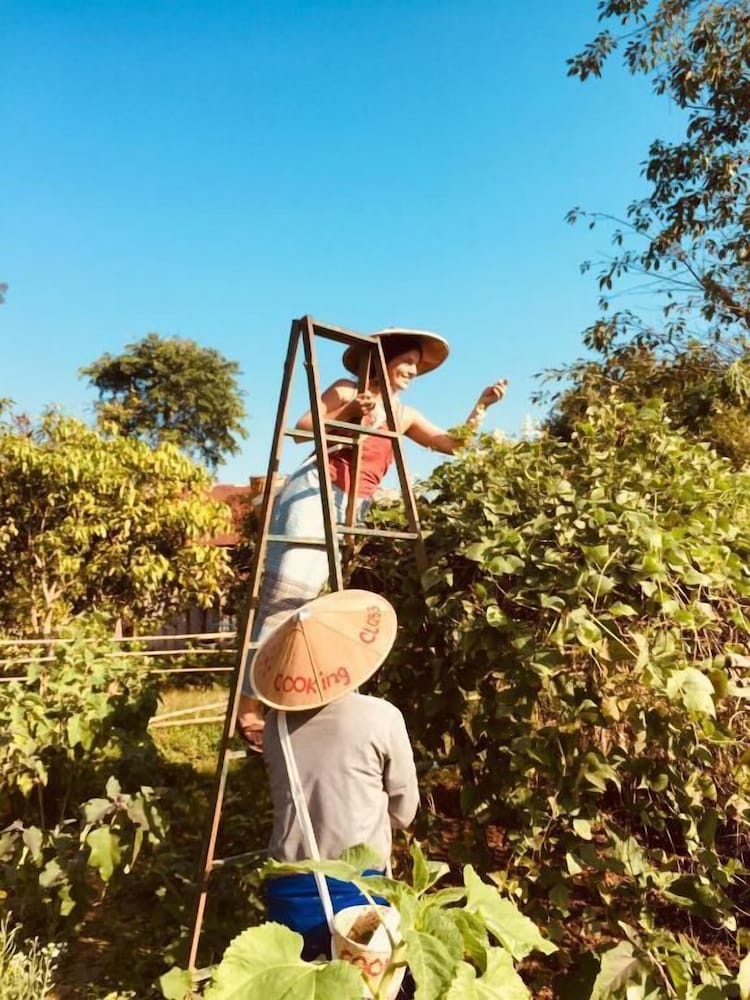 Фото Mr. Charles River View Lodge