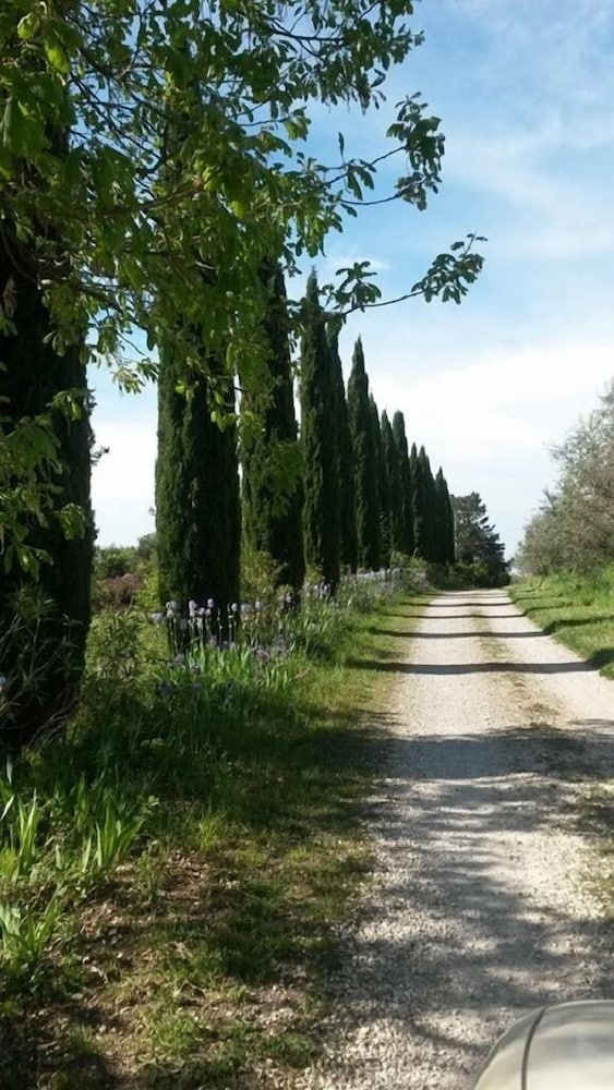 Фото Agriturismo Solidor