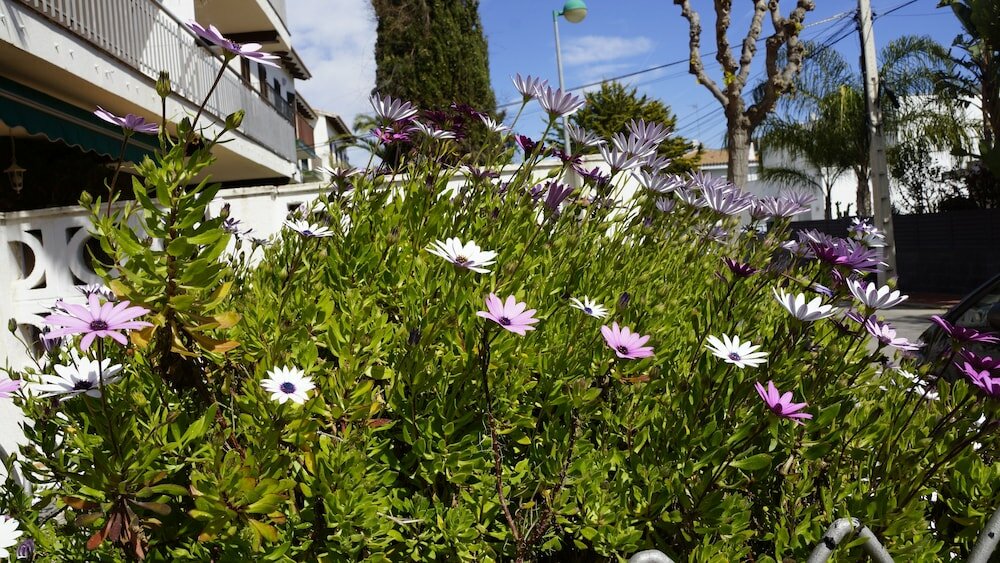 Фото Sitges-Vallpineda