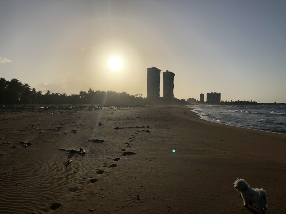 Фото Ocean View Gorgeous 1 Bedroom Apt