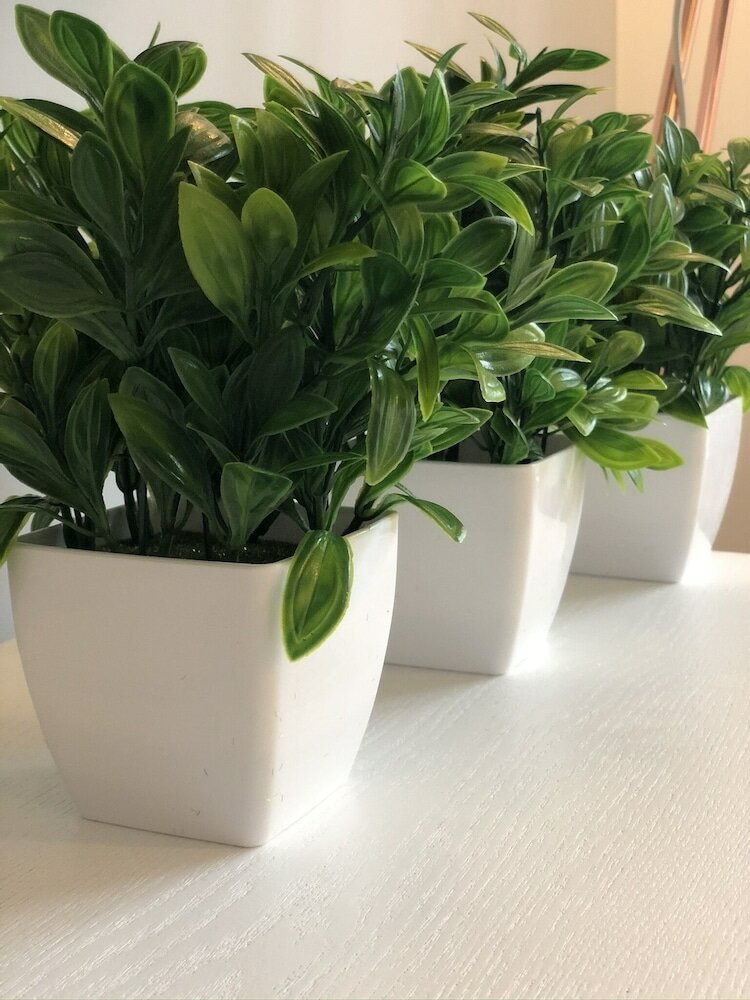 Фото Parkside Penthouse