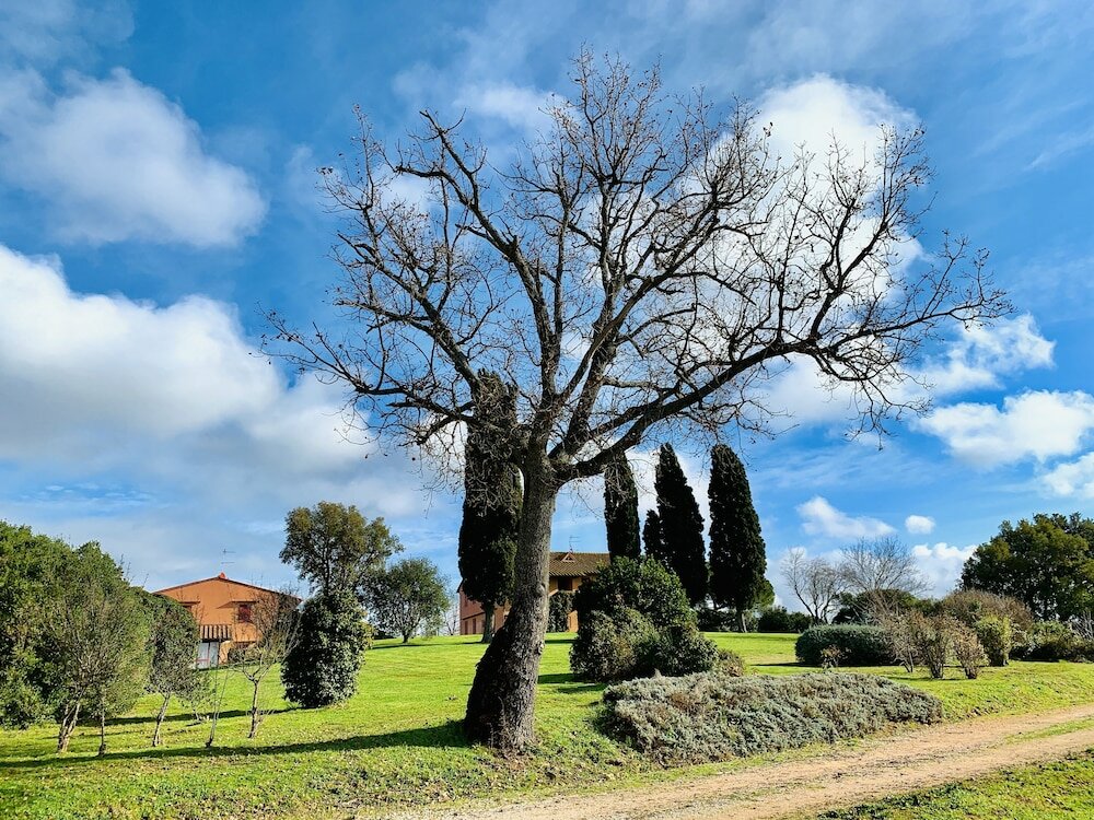 Фото Tenuta Agricola Fraschiera