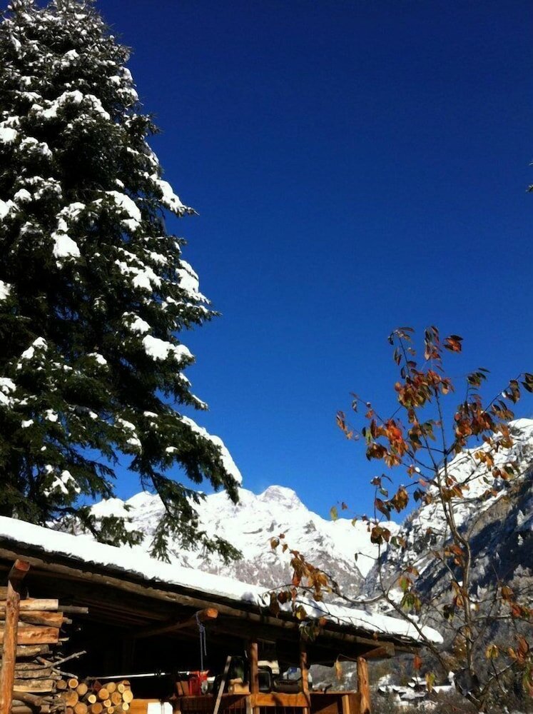 Фото Tre Alberi Liberi