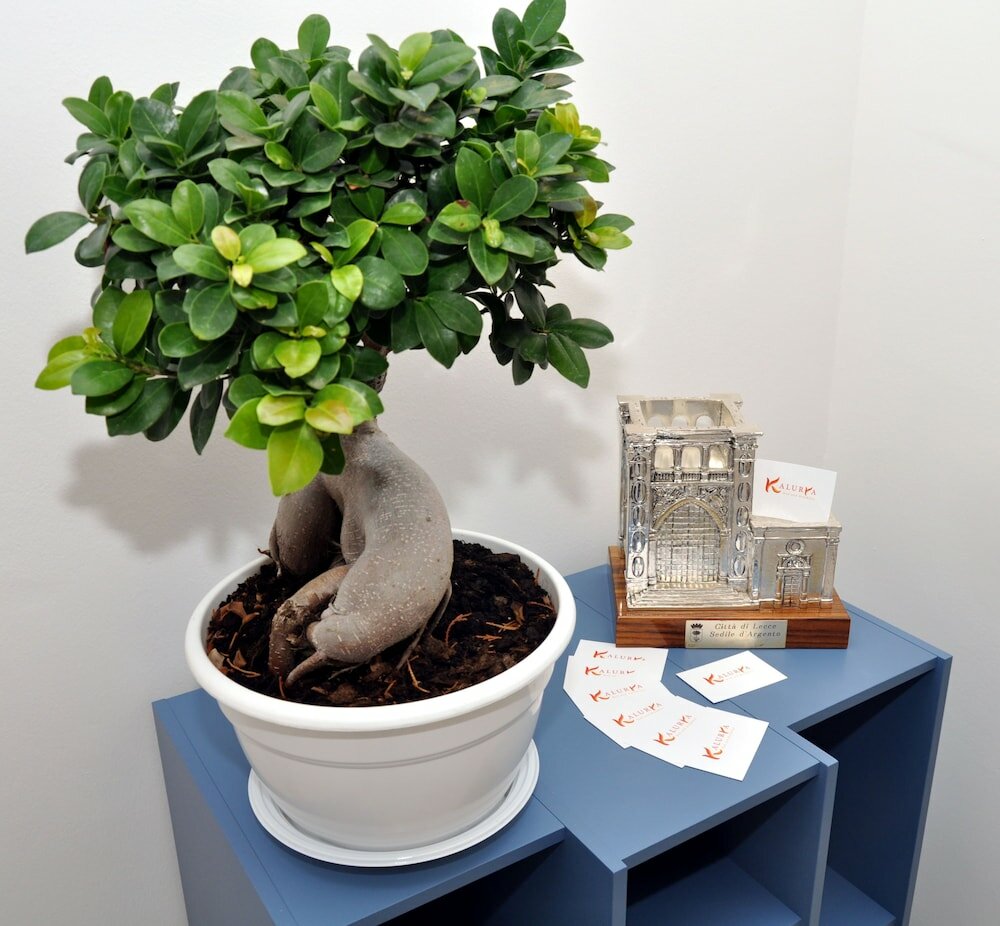 Фото B&b Kalurya