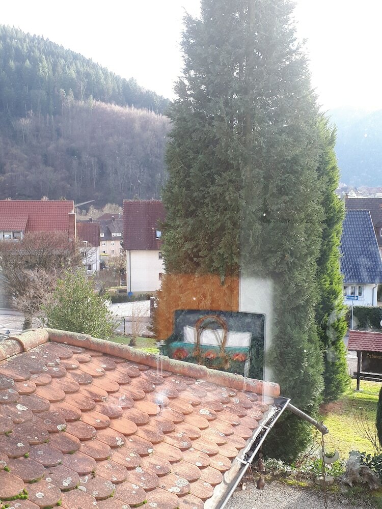 Фото Schwarzwaldhotel Garni Wolfach