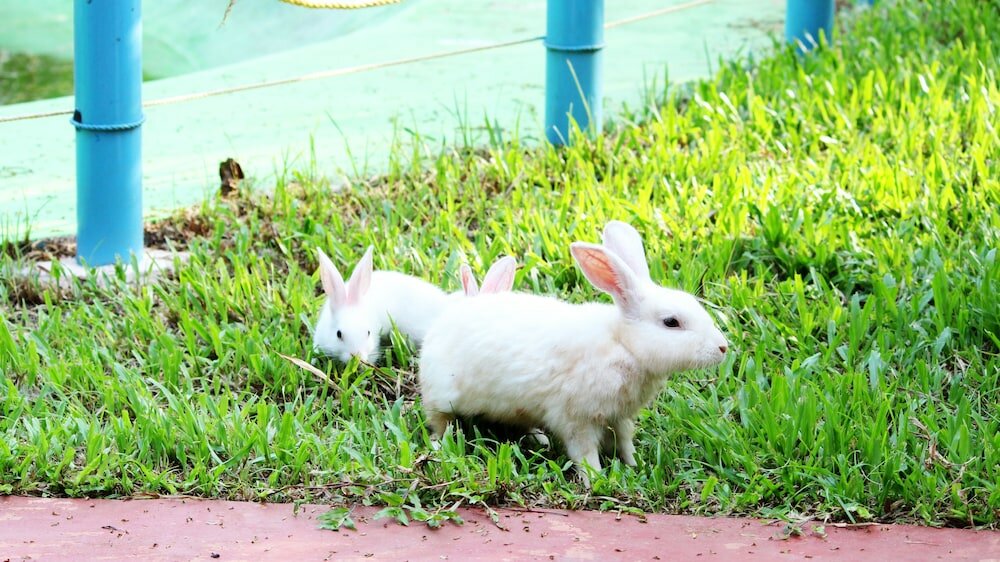 Фото True Blue Beach Resort, Trivandrum