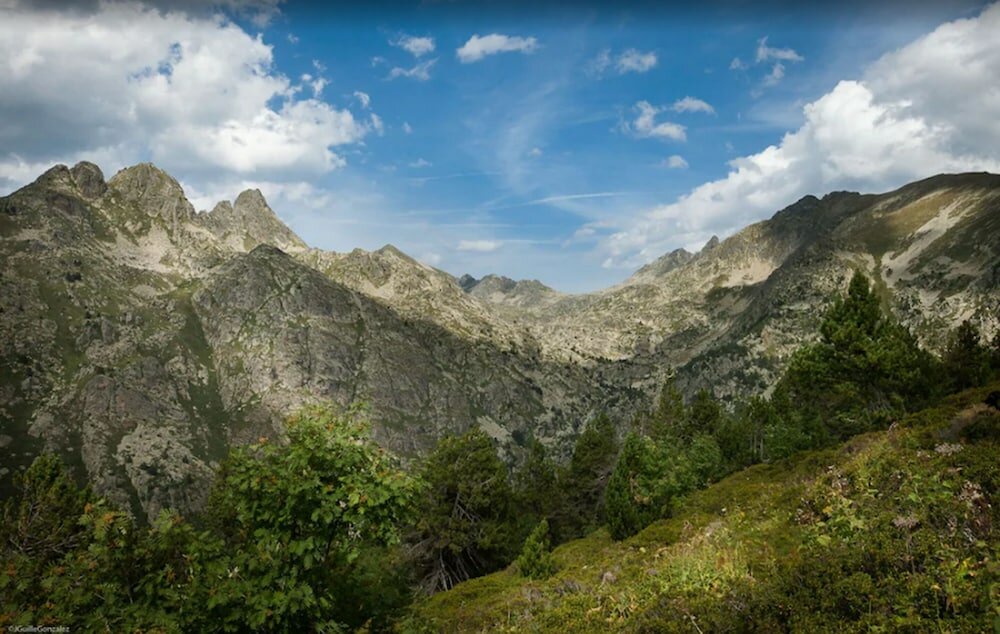 Фото Hotel Llop Gris