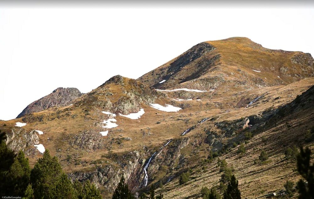 Фото Hotel Llop Gris