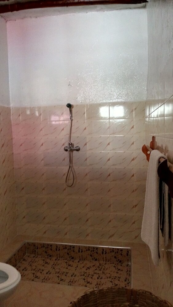 Фото Twisted Palms Lodge & Restaurant