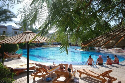 Гостиница Dive Inn Resort в Шарм-эль-Шейхе