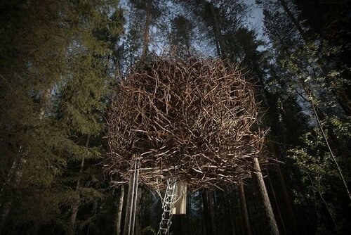 Гостиница Tree Hotel