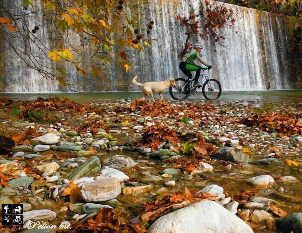 Фото Karavia Lux Inn