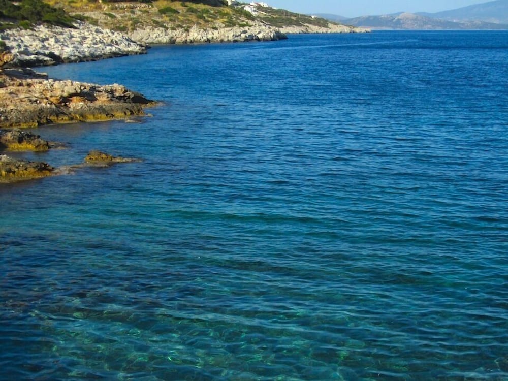 Фото Amalia Residences