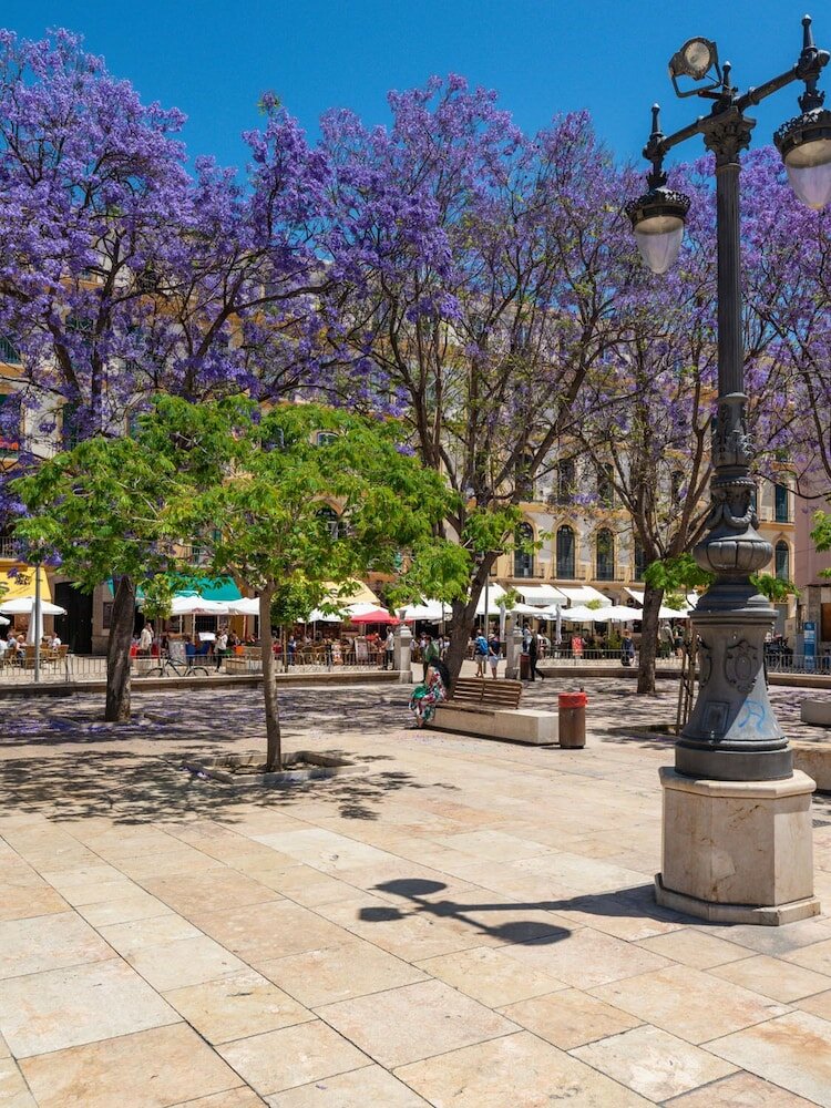 Фото Home Аrt аpartments Málaga