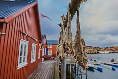 Гостиница Kræmmervika Havn