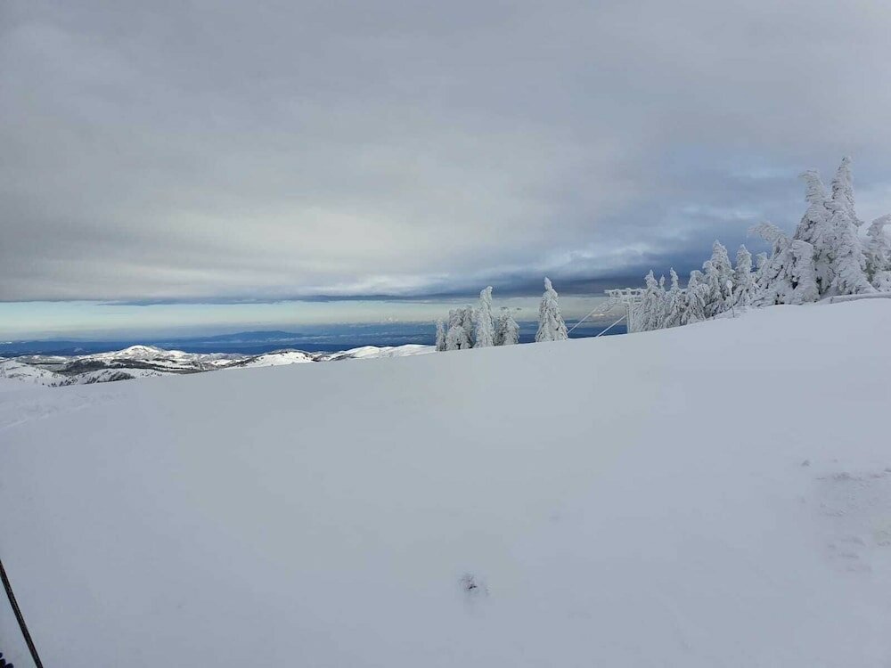Фото Nicole Kopaonik