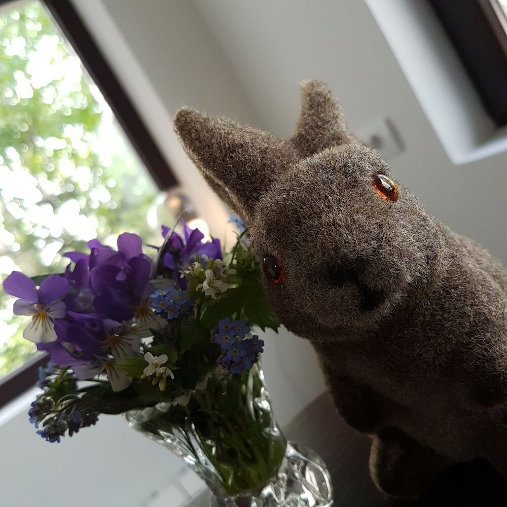 Фото Nicole Kopaonik