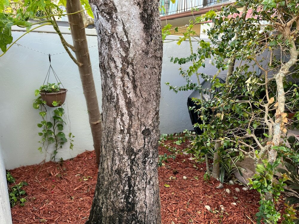 Фото Luxurious & Spacious Townhouse 6 Miles From Beach