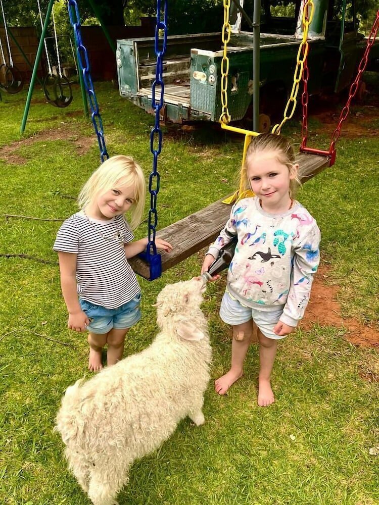 Фото Blanco Guest Farm