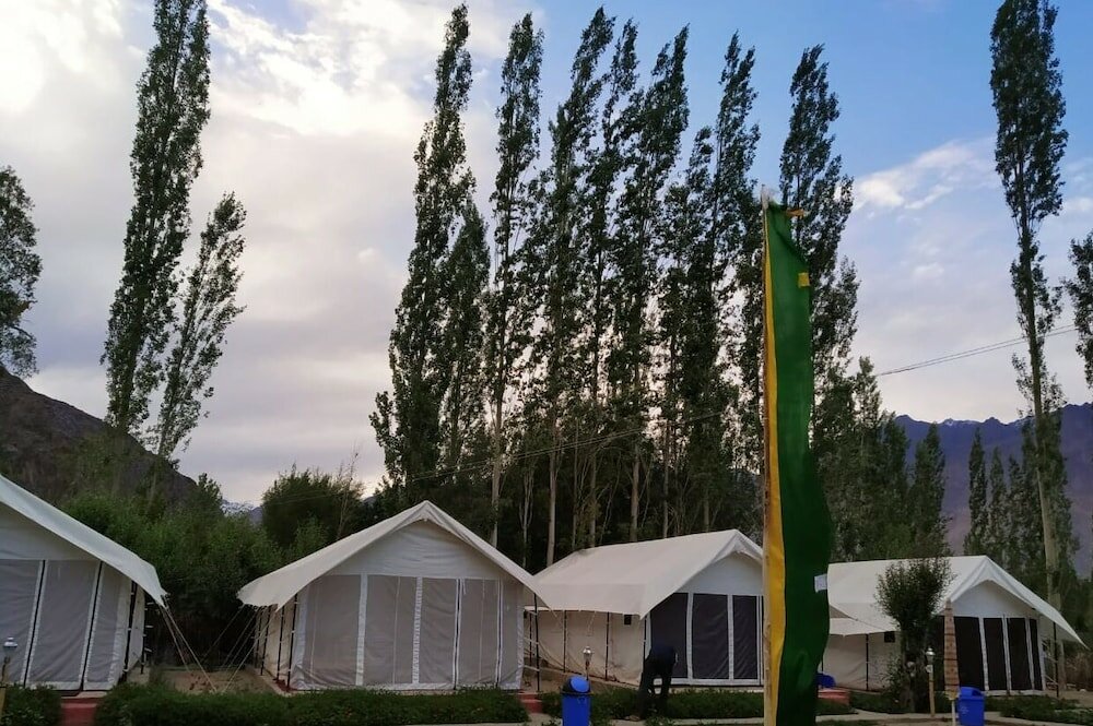 Фото Lumbini Camp- Nubra Valley