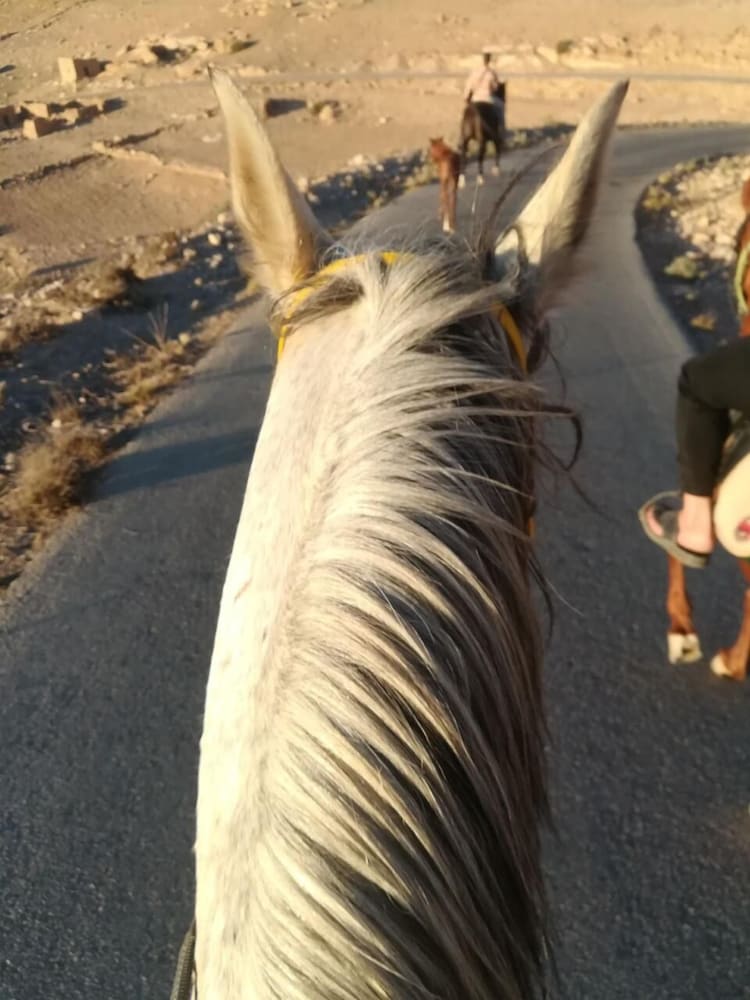 Фото Twilight Hotel Petra