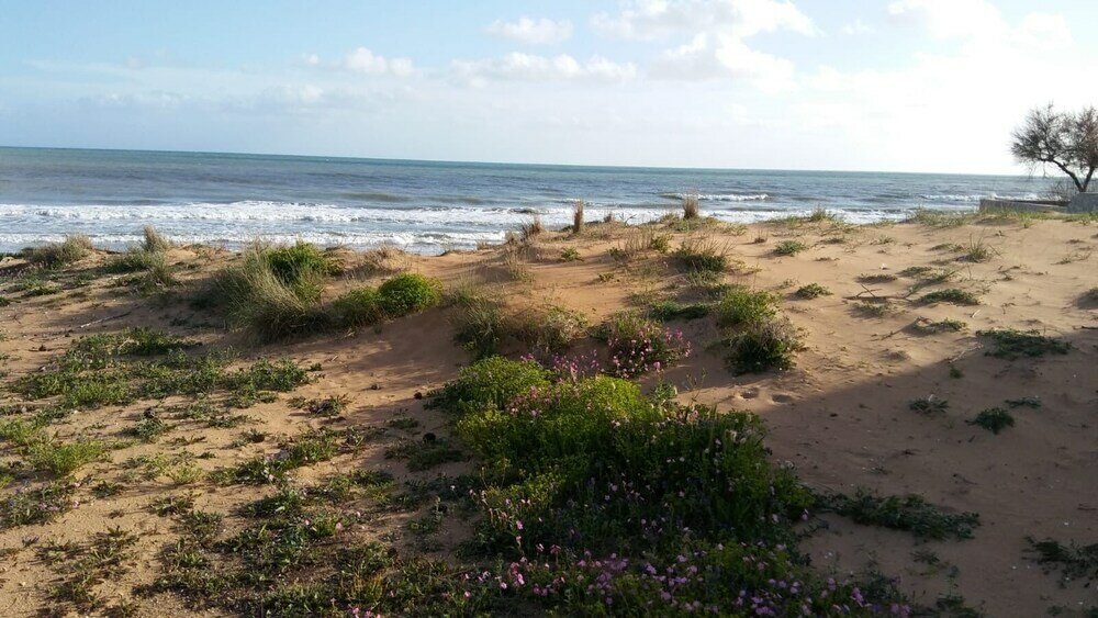 Фото Mediterraneo