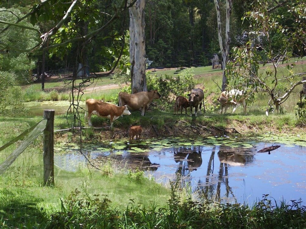 Фото Lagoon Pocket B&b