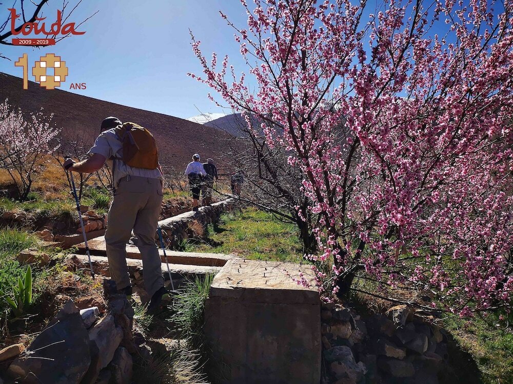 Фото Touda Ecolodge