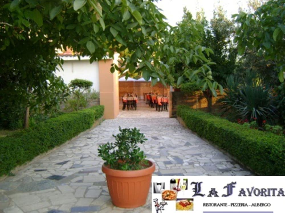 Фото La Favorita