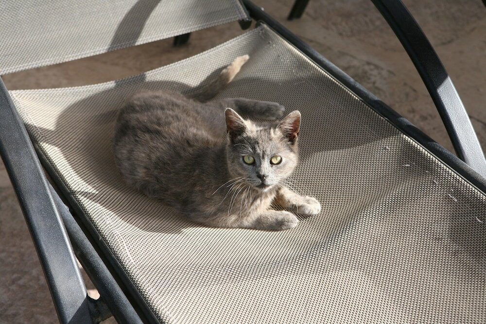 Фото Club Aphrodite