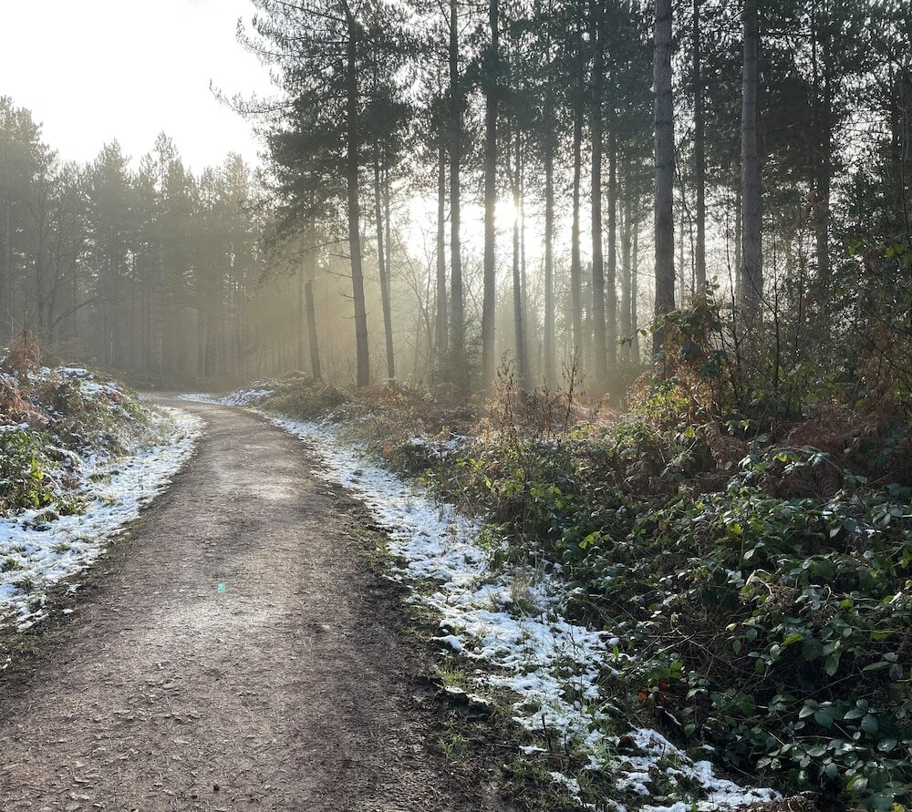 Фото Harpur's of Melbourne