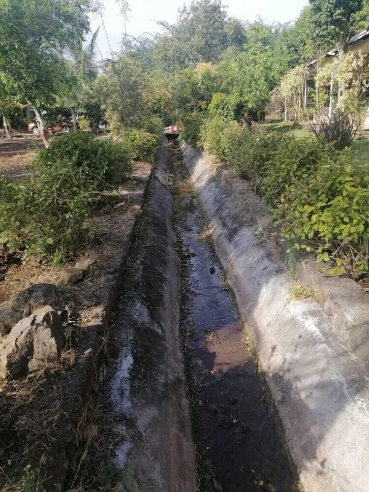 Фото Waterfront Agro Tourism