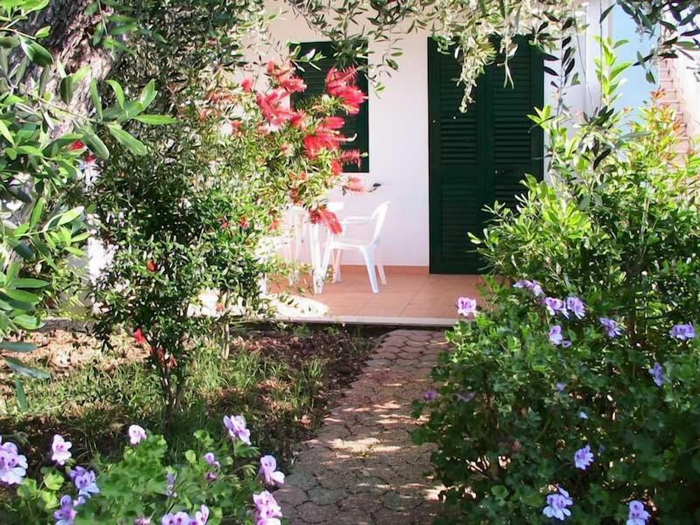 Фото Residence Alba