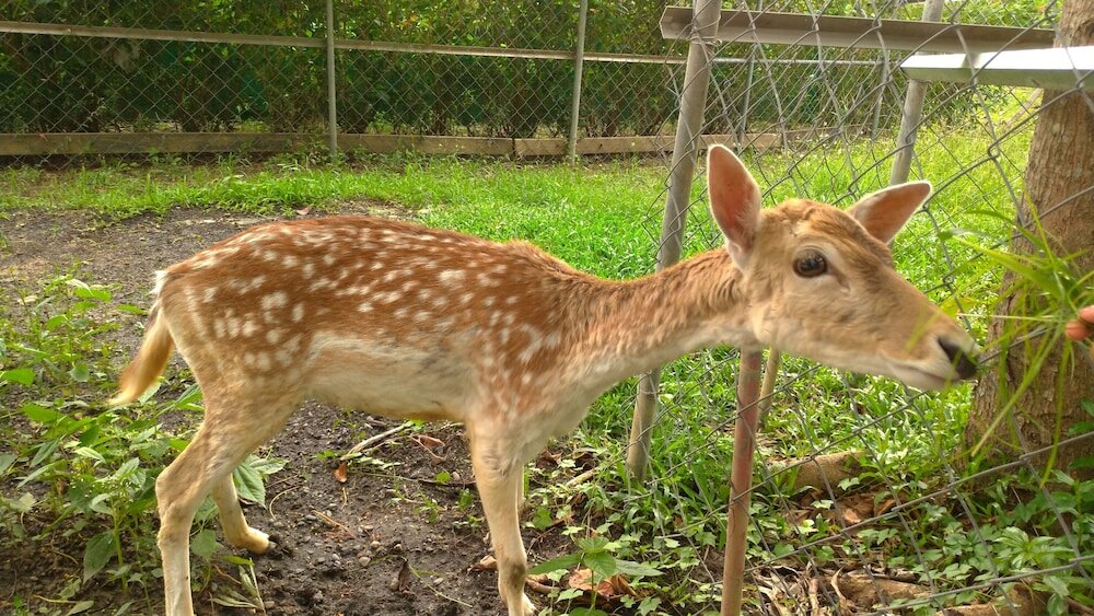 Фото Howard Beach Resort Kenting