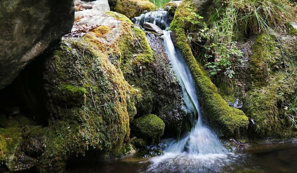 Фото Best Western Plus Sun Canyon