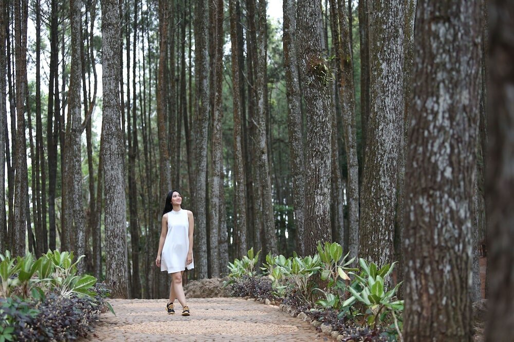 Фото Sahid Raya Hotel & Convention Yogyakarta