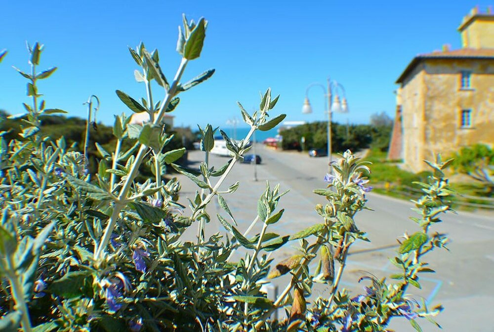 Фото Hotel Paradiso Verde