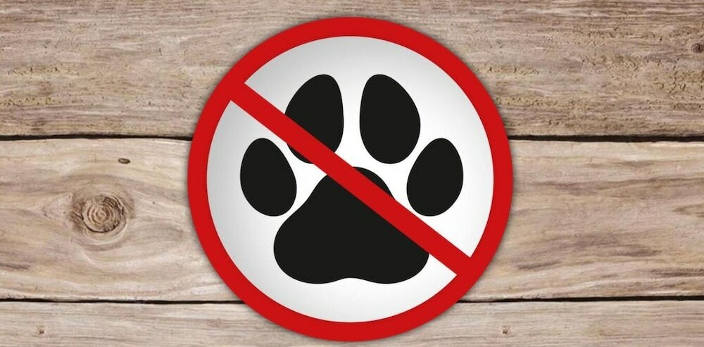 Фото Appartementhotel Breitmattstub Bühlertal