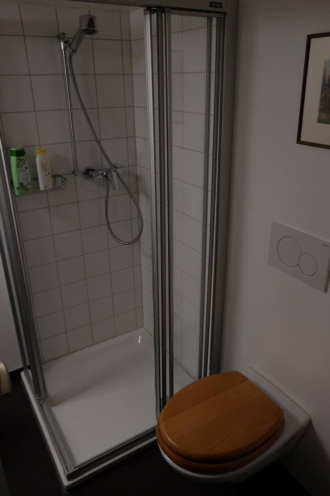 Фото Pension Gimmelwald