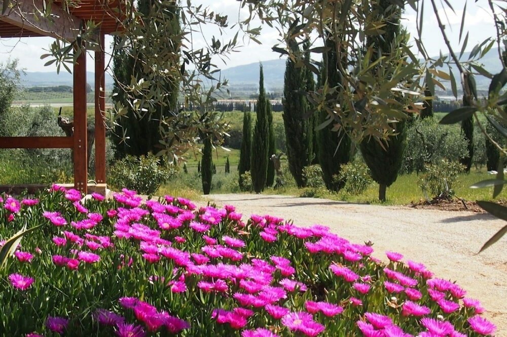 Фото Colle Berto