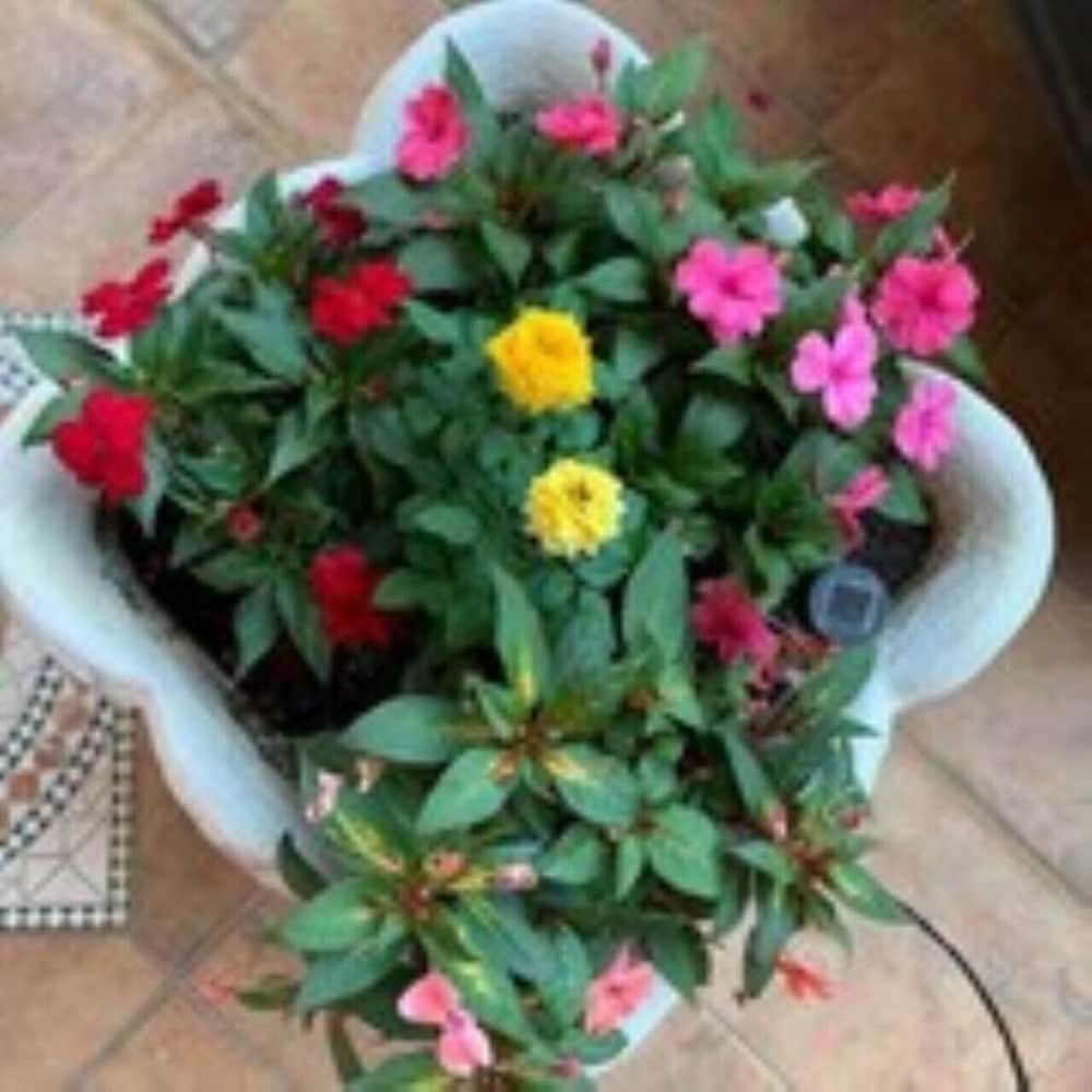 Фото Rooms Kuljic